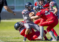 Westshore-warriors-Harwood-Dawgs-VICFA