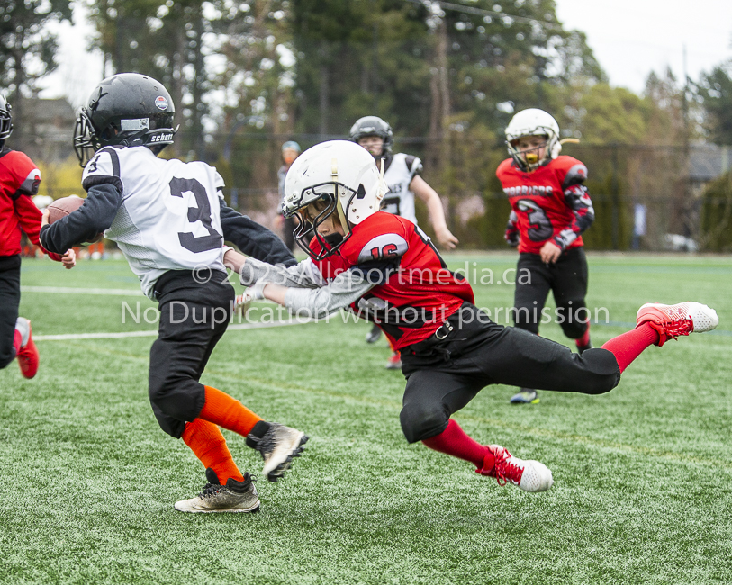 GVMFA Saanich Wolverines Westshore Warriors goudy