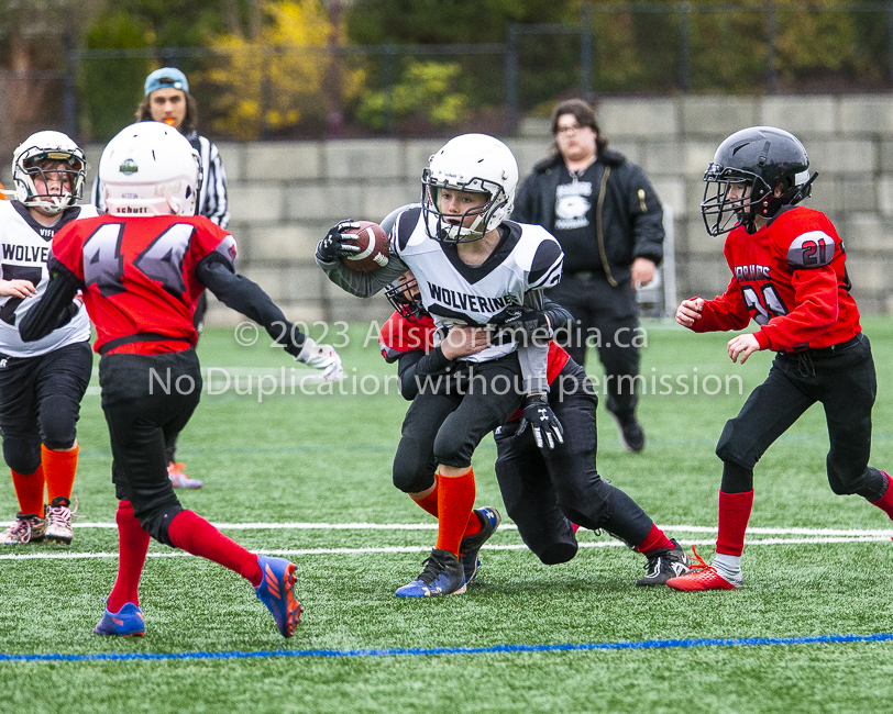 GVMFA Saanich Wolverines Westshore Warriors goudy