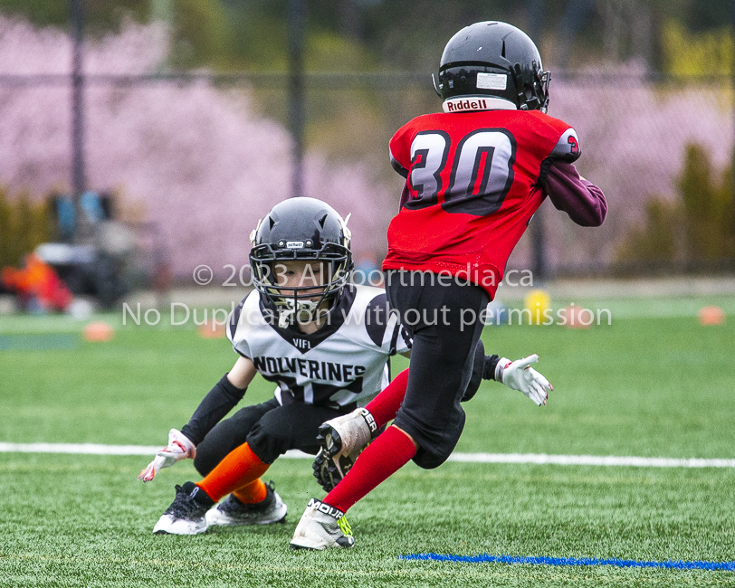 GVMFA Saanich Wolverines Westshore Warriors goudy