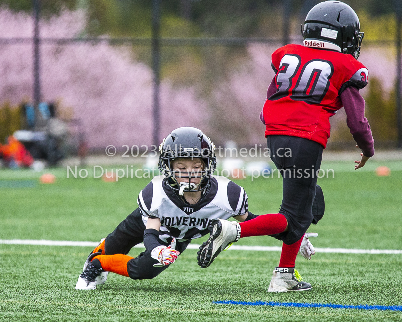 GVMFA Saanich Wolverines Westshore Warriors goudy