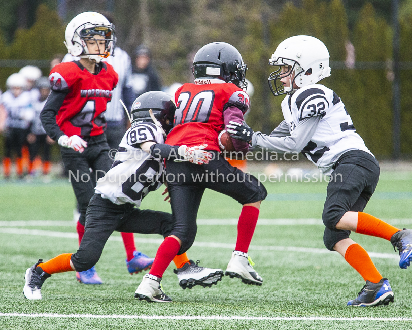 GVMFA Saanich Wolverines Westshore Warriors goudy