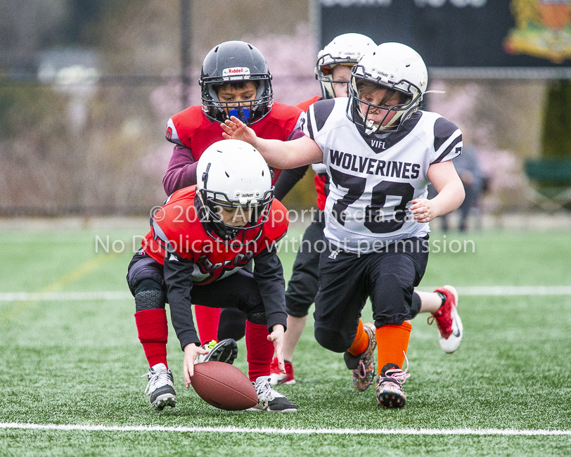 GVMFA Saanich Wolverines Westshore Warriors goudy