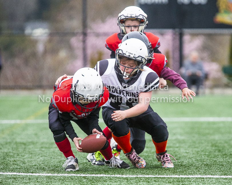 GVMFA Saanich Wolverines Westshore Warriors goudy