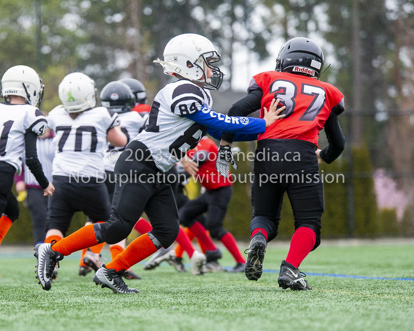 GVMFA Saanich Wolverines Westshore Warriors goudy