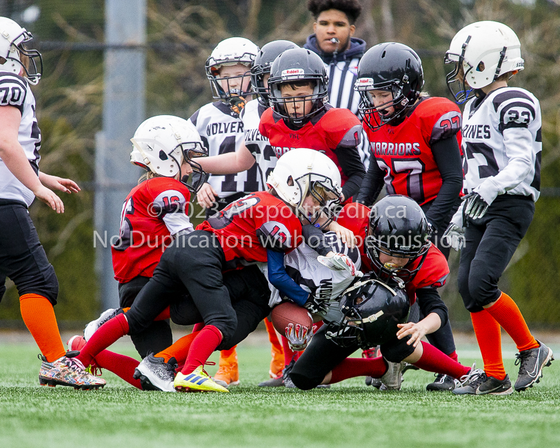 GVMFA Saanich Wolverines Westshore Warriors goudy