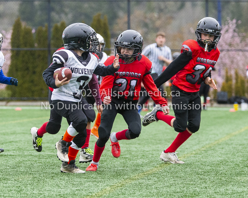 GVMFA Saanich Wolverines Westshore Warriors goudy