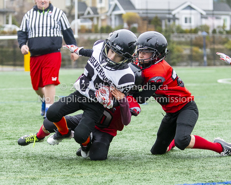 GVMFA Saanich Wolverines Westshore Warriors goudy