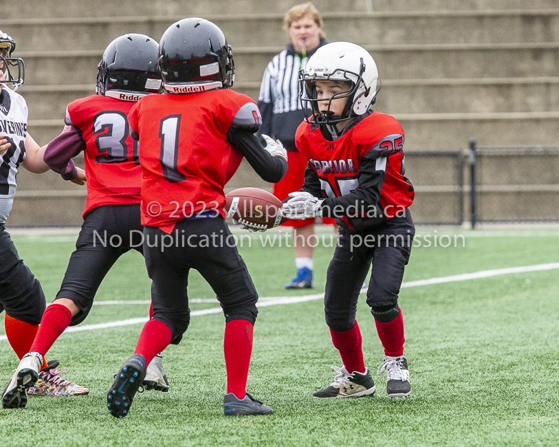 GVMFA Saanich Wolverines Westshore Warriors goudy