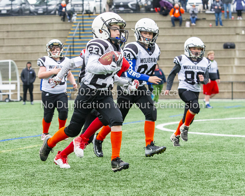 GVMFA Saanich Wolverines Westshore Warriors goudy