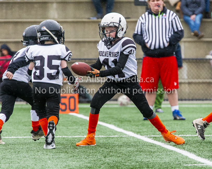 GVMFA Saanich Wolverines Westshore Warriors goudy