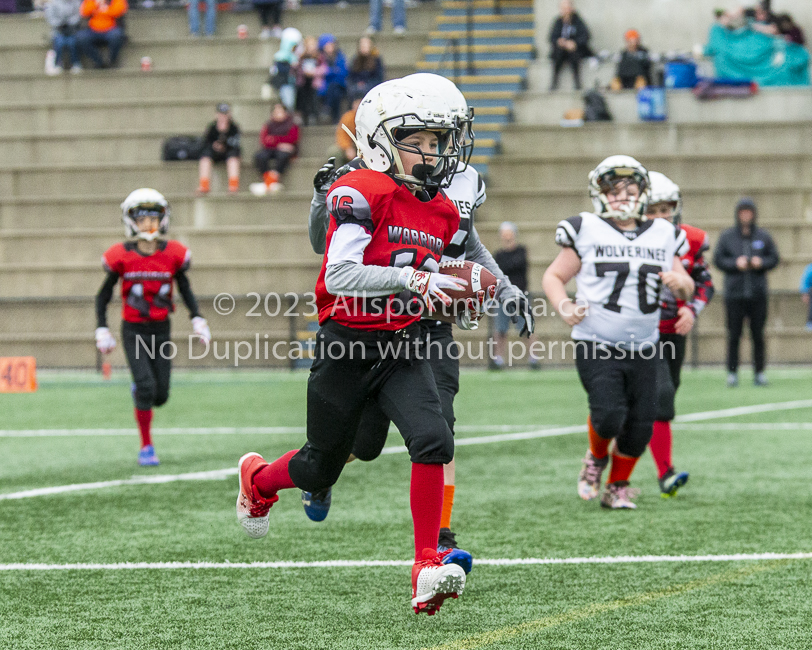 GVMFA Saanich Wolverines Westshore Warriors goudy