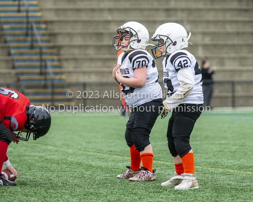 GVMFA Saanich Wolverines Westshore Warriors goudy