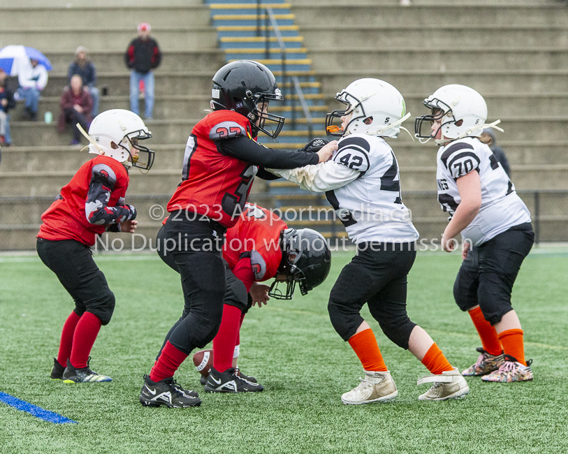 GVMFA Saanich Wolverines Westshore Warriors goudy