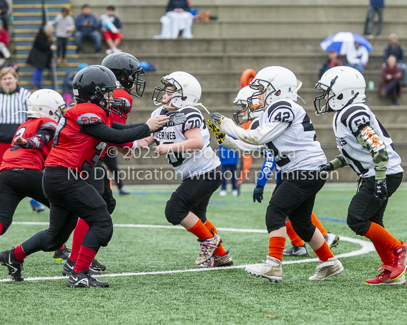 GVMFA Saanich Wolverines Westshore Warriors goudy