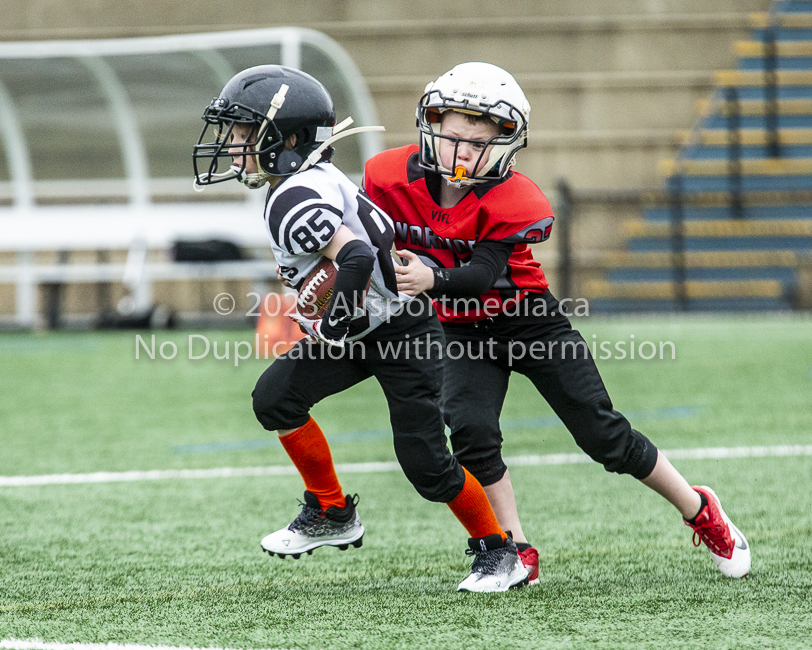 GVMFA Saanich Wolverines Westshore Warriors goudy