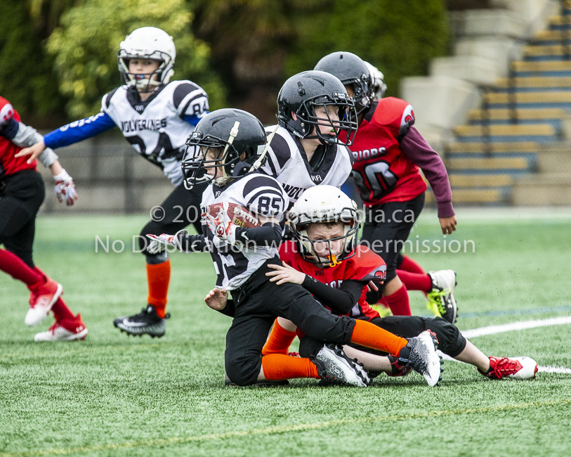 GVMFA Saanich Wolverines Westshore Warriors goudy