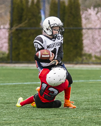 GVMFA-Saanich-Wolverines-Westshore-Warriors-goudy