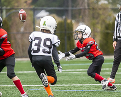 GVMFA-Saanich-Wolverines-Westshore-Warriors-goudy