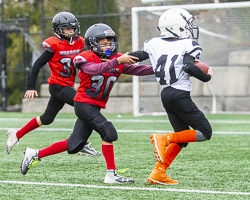 GVMFA-Saanich-Wolverines-Westshore-Warriors-goudy