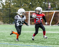 GVMFA-Saanich-Wolverines-Westshore-Warriors-goudy