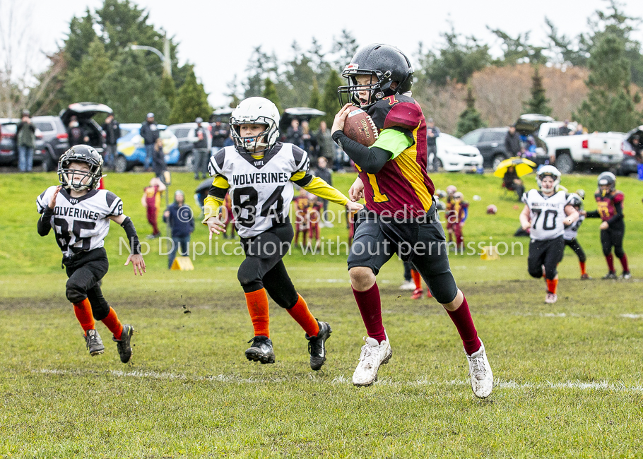 GVMFA Cowichan Bulldogs. Saanich Wolverines