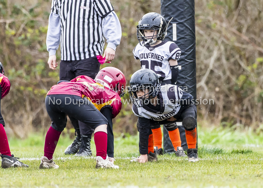 GVMFA Cowichan Bulldogs. Saanich Wolverines