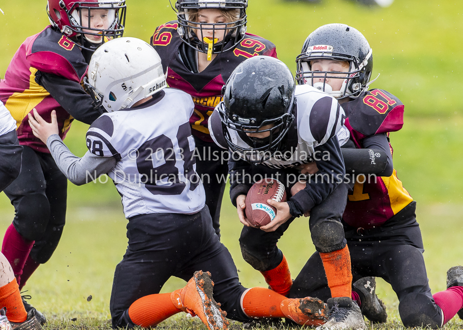 GVMFA Cowichan Bulldogs. Saanich Wolverines