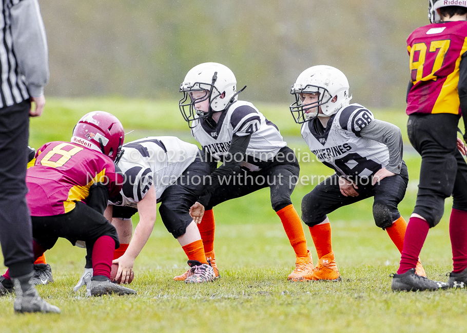 GVMFA Cowichan Bulldogs. Saanich Wolverines