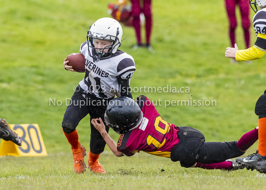 GVMFA Cowichan Bulldogs. Saanich Wolverines