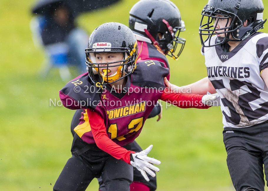 GVMFA Cowichan Bulldogs. Saanich Wolverines