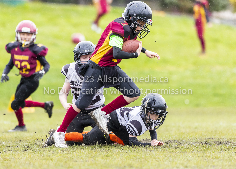 GVMFA Cowichan Bulldogs. Saanich Wolverines