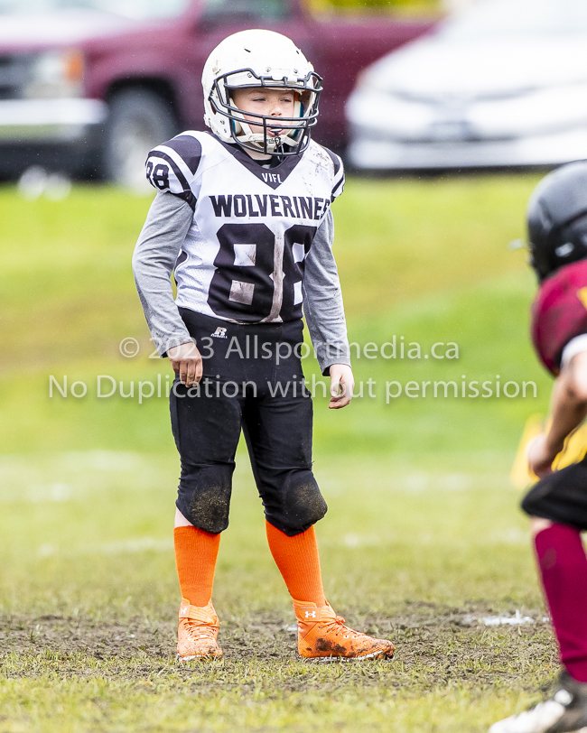 GVMFA Cowichan Bulldogs. Saanich Wolverines