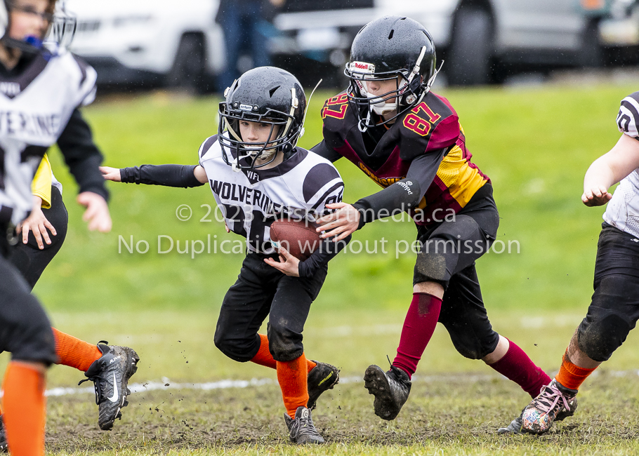 GVMFA Cowichan Bulldogs. Saanich Wolverines