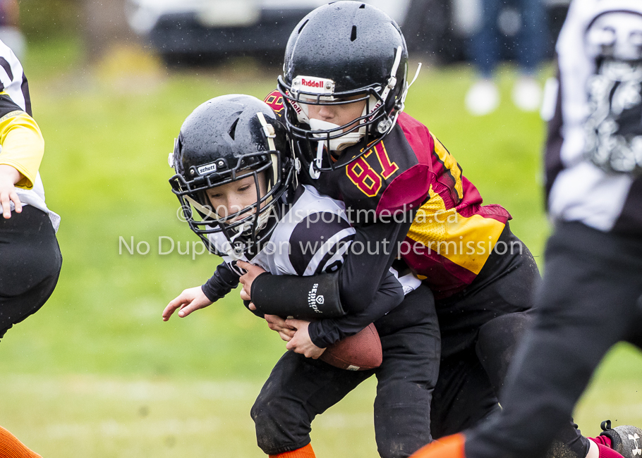 GVMFA Cowichan Bulldogs. Saanich Wolverines