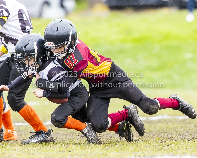 GVMFA Cowichan Bulldogs. Saanich Wolverines