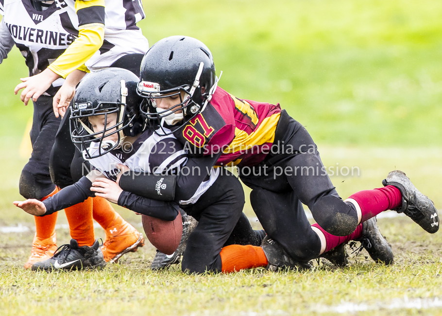 GVMFA Cowichan Bulldogs. Saanich Wolverines