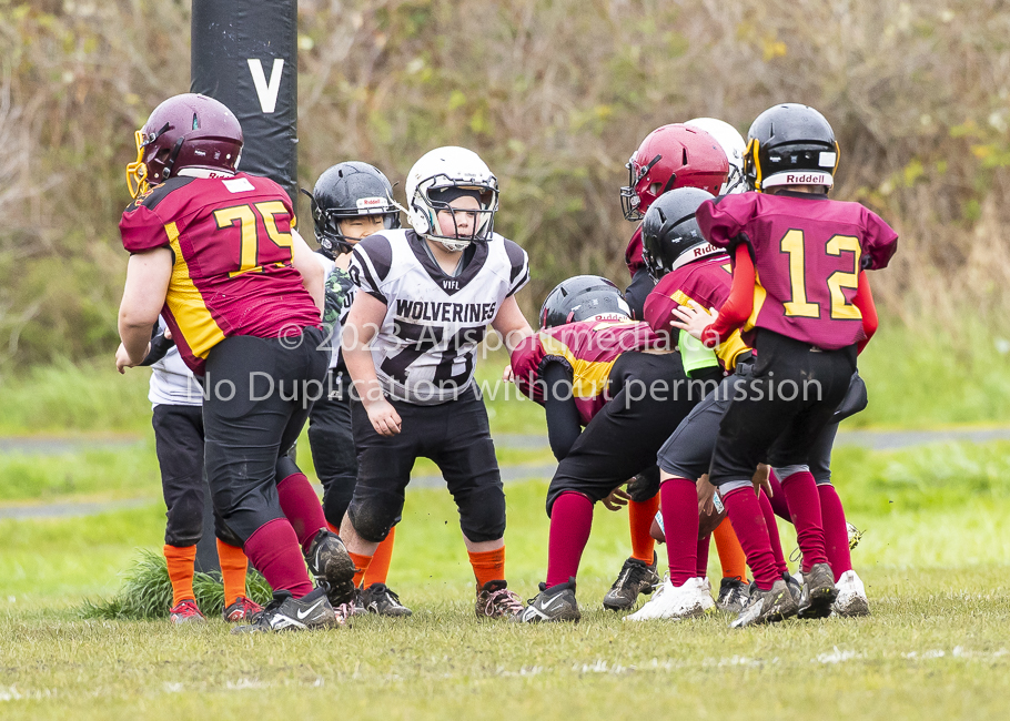 GVMFA Cowichan Bulldogs. Saanich Wolverines