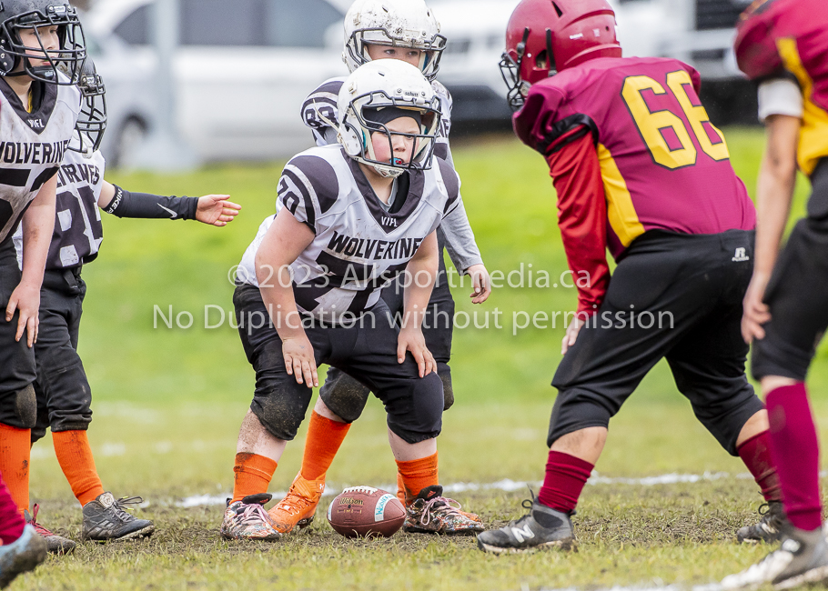 GVMFA Cowichan Bulldogs. Saanich Wolverines