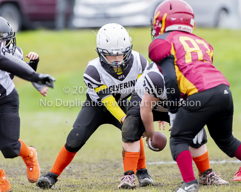 GVMFA Cowichan Bulldogs. Saanich Wolverines