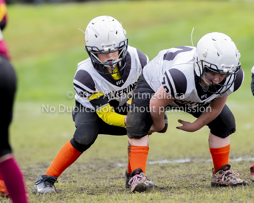 GVMFA Cowichan Bulldogs. Saanich Wolverines