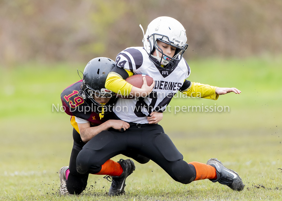 GVMFA Cowichan Bulldogs. Saanich Wolverines