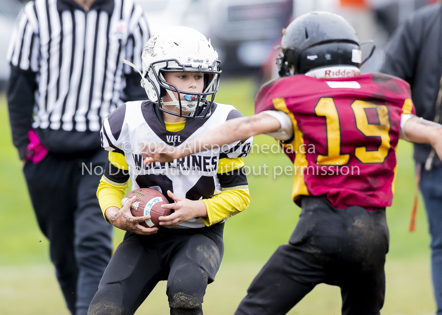 GVMFA Cowichan Bulldogs. Saanich Wolverines