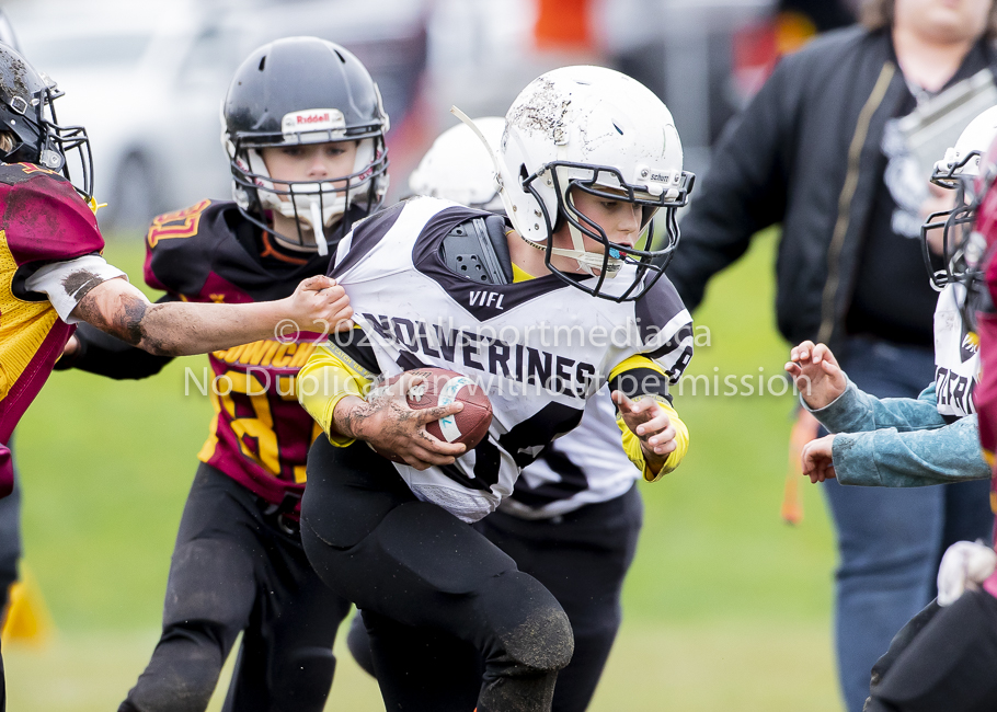 GVMFA Cowichan Bulldogs. Saanich Wolverines