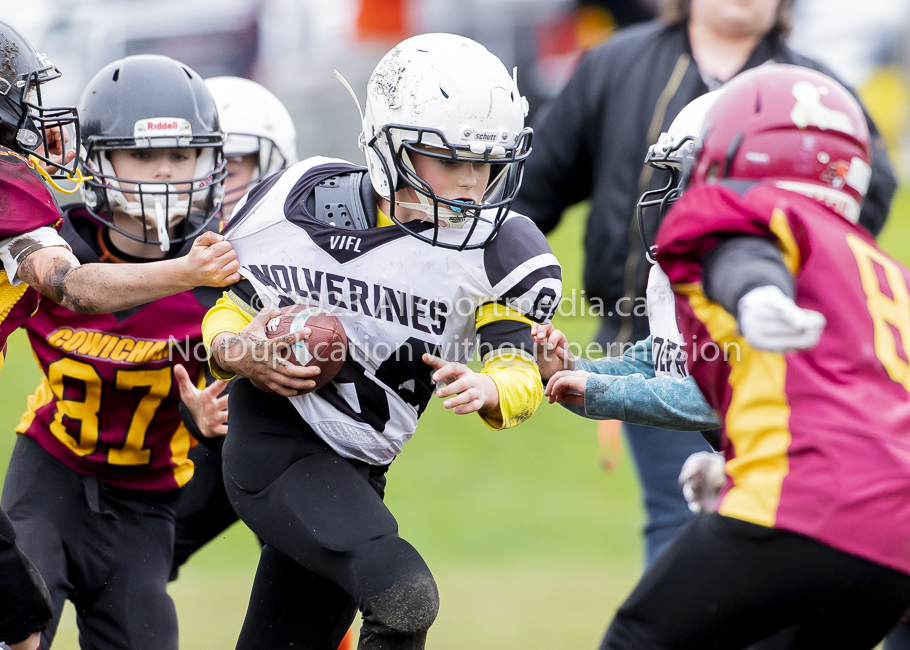 GVMFA Cowichan Bulldogs. Saanich Wolverines