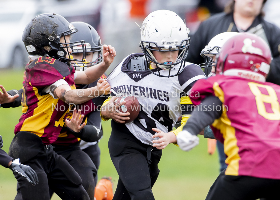 GVMFA Cowichan Bulldogs. Saanich Wolverines