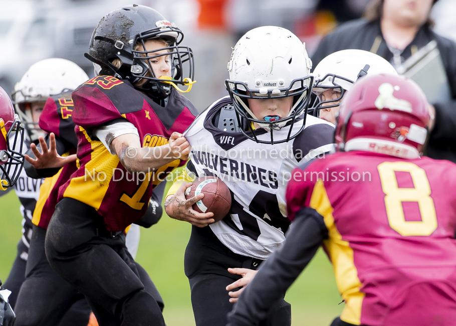 GVMFA Cowichan Bulldogs. Saanich Wolverines