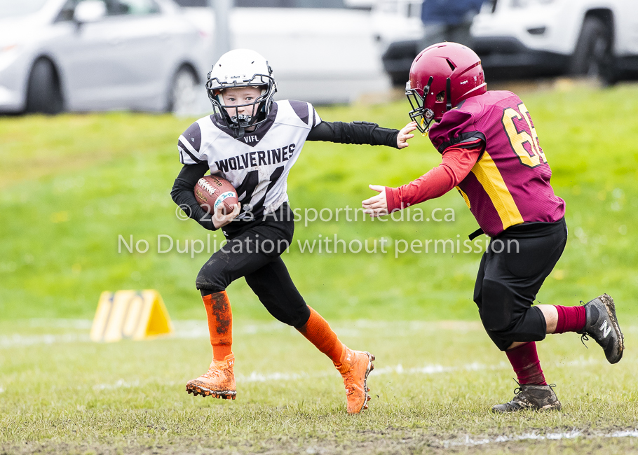 GVMFA Cowichan Bulldogs. Saanich Wolverines