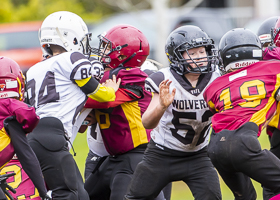 GVMFA-Cowichan-Bulldogs-Saanich-Wolverines