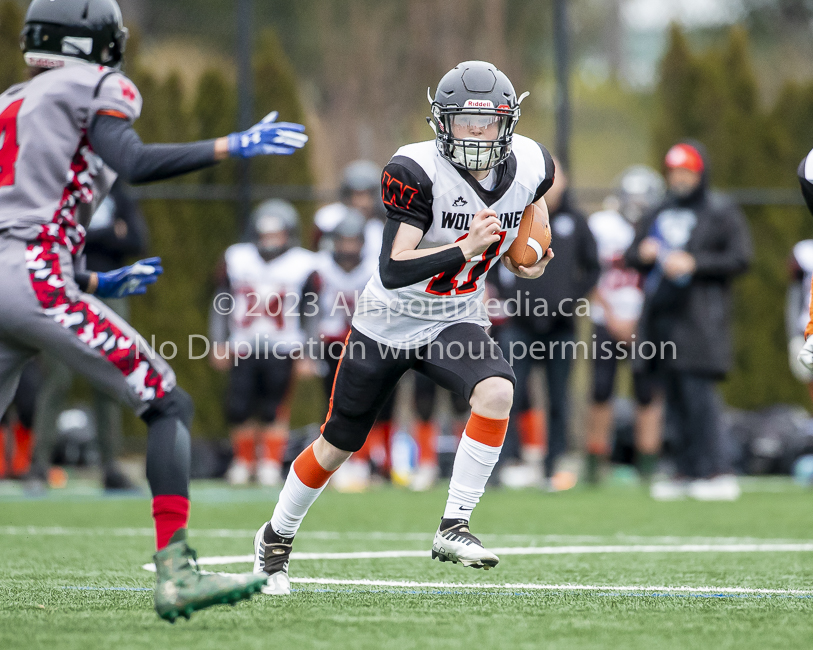 Warriors westshore Wolverines Saanich GVMFA  Goudy Langford football